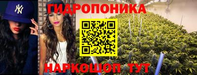 стаф Бузулук