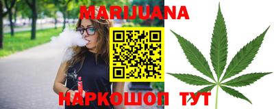 Альфа ПВП Будённовск