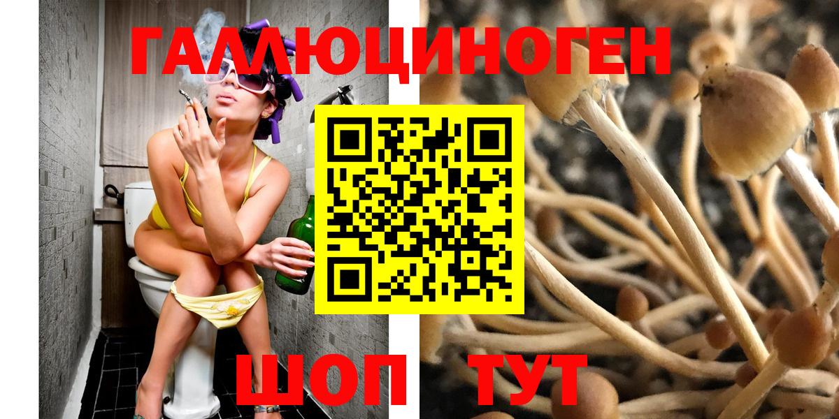 Псилоцибиновые грибы MAGIC MUSHROOMS  Вход с VPN  Черкесск 